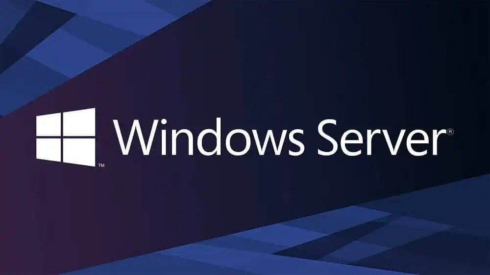 Microsoft Windows Server 2025 Standard - 1 PC (Lifetime) 