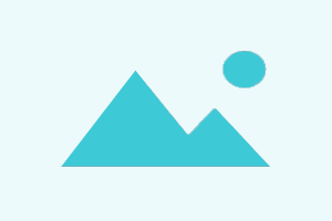 Apple Full GSX Fast Service - GSX Report, Case, Replacement, Sold By info